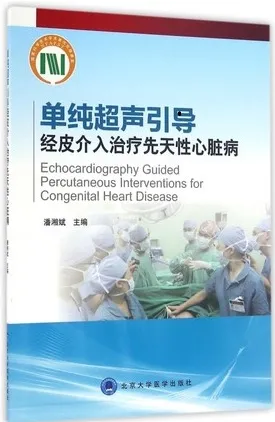 单纯超声引导经皮介入治疗先天性心脏病