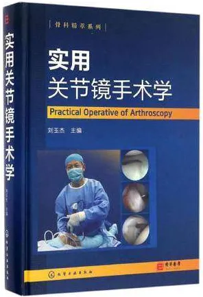 实用关节镜手术学 骨科精萃系列