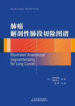 肺癌解剖性肺段切除图谱