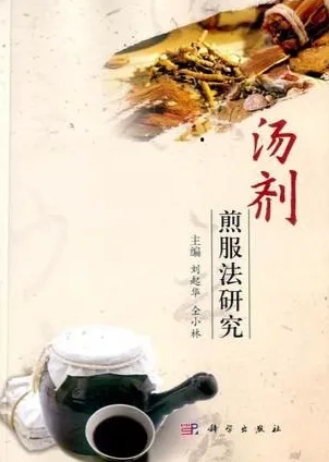 汤剂煎服法研究