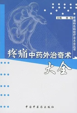 疼痛中药外治奇术大全