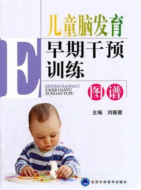 儿童脑发育早期干预训练图谱