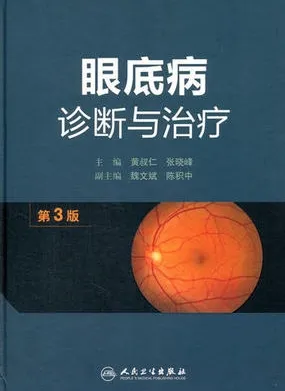 眼底病诊断与治疗 第3版