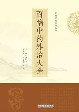 百病中药外治大全