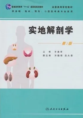 实地解剖学