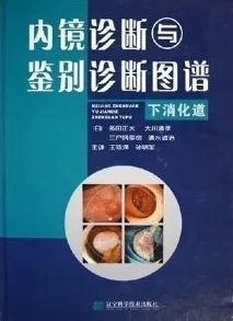 内镜诊断与鉴别诊断图谱 下消化道