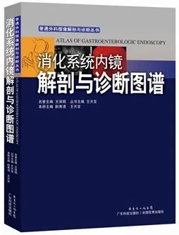 消化系统内镜解剖与诊断图谱