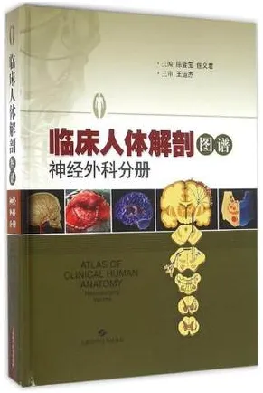 临床人体解剖图谱 神经外科分册