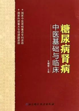 糖尿病肾病中医基础与临床