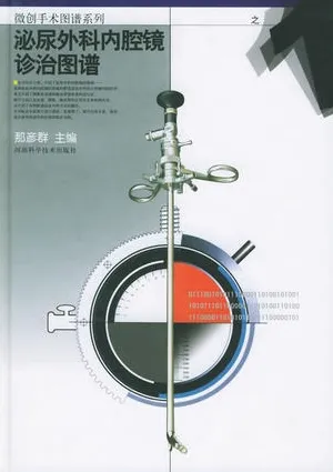 泌尿外科内腔镜诊治图谱