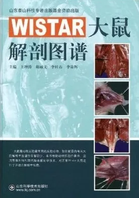 WISTAR大鼠解剖图谱