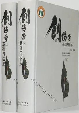 创伤学·基础与临床 （上下册）