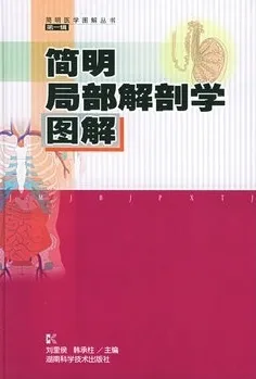 简明局部解剖学图解