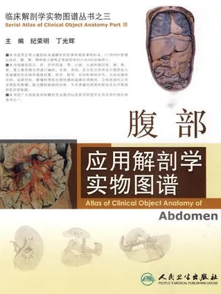 腹部应用解剖学实物图谱