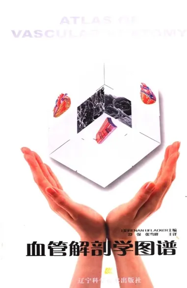 血管解剖学图谱