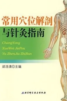 常用穴位解剖与针灸指南
