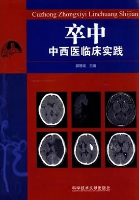 卒中 中西医临床实践