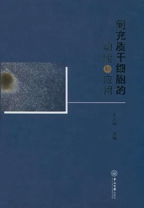 间充质干细胞的功能和应用