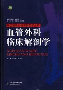 血管外科临床解剖学