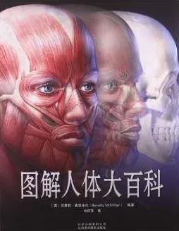 图解人体大百科