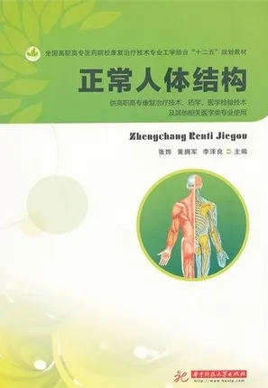 正常人体结构