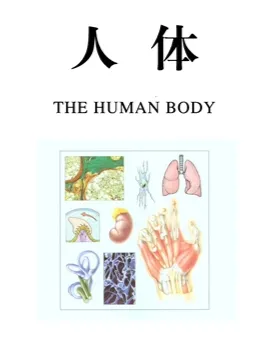 人体：人体结构、功能与疾病图解