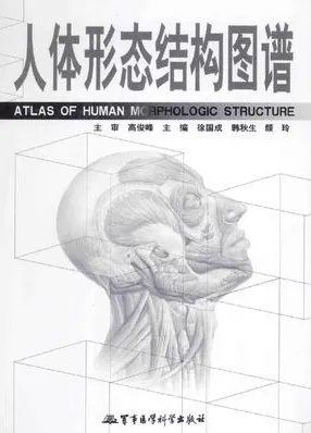 人体形态结构图谱