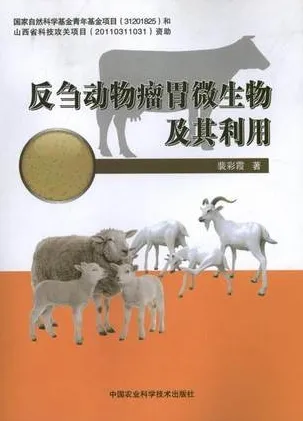 反刍动物瘤胃微生物及其利用