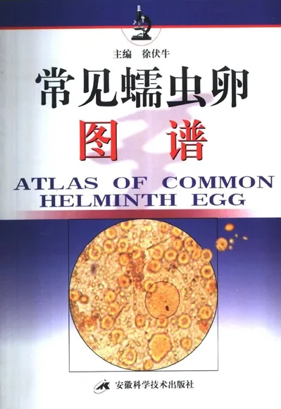 常见蠕虫卵图谱