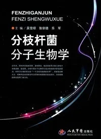 分枝杆菌分子生物学