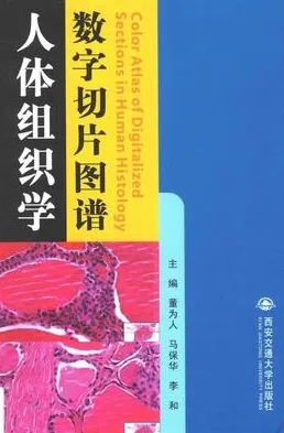 人体组织学数字切片图谱 汉英对照