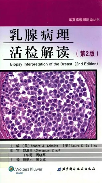 乳腺病理活检解读（第2版）