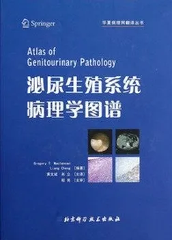 泌尿生殖系统病理学图谱