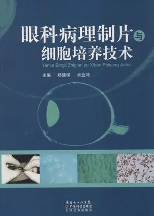 眼科病理制片与细胞培养技术