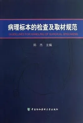 病理标本的检查及取材规范