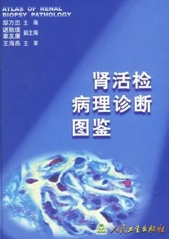 肾活检病理诊断图鉴