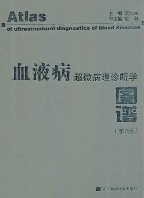 血液病超微病理诊断学图谱 第2版