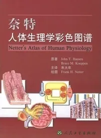 奈特人体生理学彩色图谱