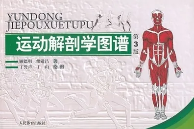 运动解剖学图谱 第3版