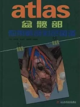 盆髋部应用解剖彩色图谱