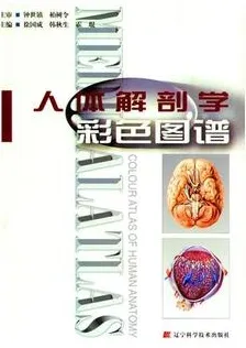 人体解剖学彩色图谱