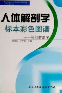人体解剖学标本彩色图谱 局部解剖学 中英对照