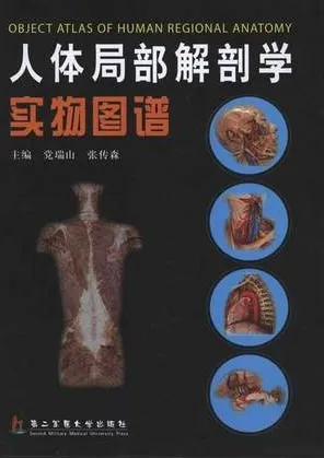 人体局部解剖学实物图谱