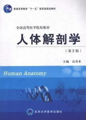 人体解剖学 第2版 北医教材