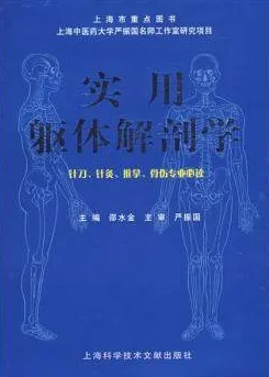 实用躯体解剖学