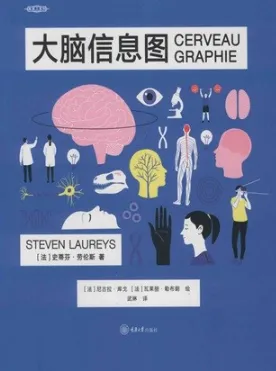 大脑信息图