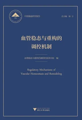 血管稳态与重构的调控机制