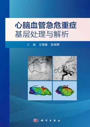 心脑血管急危重症基层处理与解析