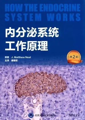 内分泌系统工作原理 第2版