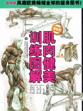 肌肉健美训练图解 最新版
